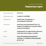 Бегония Ампельная Belleconia Apricot Blush (срез/3шт) — параметры сорта