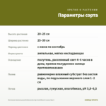 Бегония Ампельная Belleconia Apricot Blush (срез/3шт) — параметры сорта