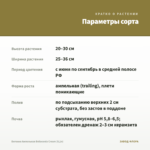 Бегония Ампельная Belleconia Cream (0,1л) — параметры сорта