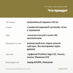 Бегония Ампельная Belleconia Cream (0,1л) — что приедет