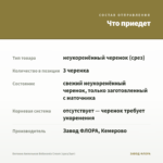 Бегония Ампельная Belleconia Cream (срез/3шт) — что приедет