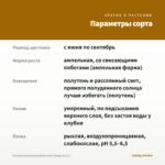 Бегония Ампельная Belleconia Mango (0,1л.) — параметры сорта