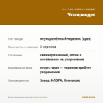 Бегония Ампельная Belleconia Mango (срез/3шт) — что приедет