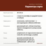 Бегония Ампельная Belleconia Rose (0,1л) — параметры сорта
