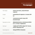Бегония Ампельная Belleconia Rose (0,1л) — что приедет