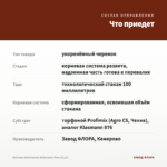 Бегония Ампельная Belleconia Rose (0,1л) — что приедет