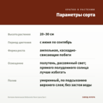 Бегония Ампельная Belleconia Rose (срез/3шт) — параметры сорта