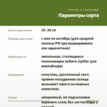 Бегония Ампельная Belleconia Soft Orange (0,1л) — параметры сорта