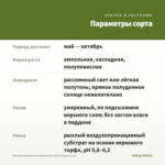 Бегония Ампельная Belleconia Soft Orange (0,1л) — параметры сорта