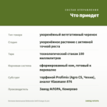 Бегония Ампельная Belleconia Soft Orange (0,1л) — что приедет