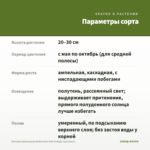Бегония Ампельная Belleconia Soft Orange (срез/3шт) — параметры сорта