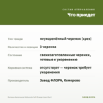 Бегония Ампельная Belleconia Soft Orange (срез/3шт) — что приедет