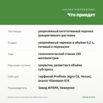 Бегония Ампельная Belleconia White Snow (0,1л) — что приедет
