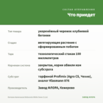 Бегония Ампельная Belleconia White Snow (0,1л) — что приедет