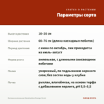 Бегония ампельная Illumination Orange (0,1л) — параметры сорта