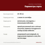 Бегония Ампельная Waterfall Encanto Red (0,1л) — параметры сорта