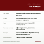 Бегония Ампельная Waterfall Encanto Red (0,1л) — что приедет