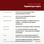 Бегония Ампельная Waterfall Encanto Red (0,1л) — параметры сорта