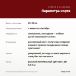Бегония Ампельная Waterfall Encanto Red (срез/3шт) — параметры сорта