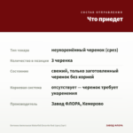 Бегония Ампельная Waterfall Encanto Red (срез/3шт) — что приедет