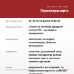Бегония Ампельная Waterfalls Encanto Pink (0,1л) — параметры сорта
