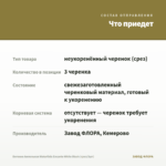 Бегония Ампельная Waterfalls Encanto White Blush (срез/3шт) — что приедет