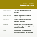Бегония Ампельная Yellow (0,1л) — параметры сорта