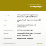 Бегония Ампельная Yellow (0,1л) — что приедет
