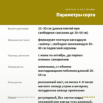 Бегония Ампельная Yellow (0,1л) — параметры сорта