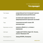 Бегония Ампельная Yellow (0,1л) — что приедет