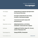 Бегония Amphioxus (0,1л) — что приедет