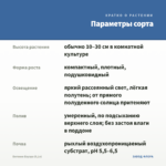 Бегония Бауэра (0,1л) — параметры сорта