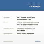 Бегония Бауэра (лист/1шт) — что приедет