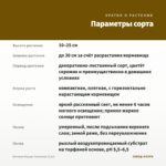 Бегония Бауэра Тигровая (0,1л) — параметры сорта