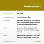 Бегония Belleconia CITRUS (0,1л) — параметры сорта