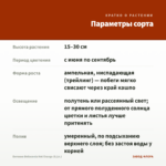 Бегония Belleconia Hot Orange (0,1л.) — параметры сорта