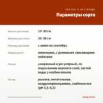 Бегония Belleconia Hot Orange (срез/3шт) — параметры сорта
