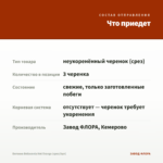 Бегония Belleconia Hot Orange (срез/3шт) — что приедет