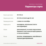 Бегония Belleconia Light Pink (0,1л.) — параметры сорта
