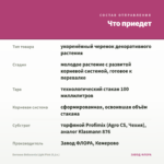 Бегония Belleconia Light Pink (0,1л.) — что приедет