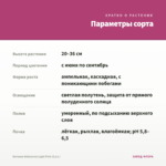Бегония Belleconia Light Pink (0,1л.) — параметры сорта