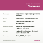 Бегония Belleconia Light Pink (0,1л.) — что приедет