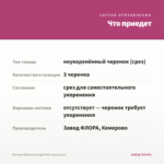 Бегония Belleconia Light Pink (срез/3 шт) — что приедет