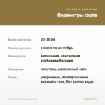 Бегония Belleconia Шардоне (0,1л) — параметры сорта