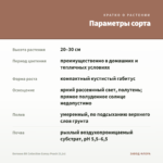 Бегония BK Collection Esmay Peach (0,1л) — параметры сорта