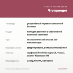 Бегония Элатиор Барсеба розовая (0,1л) — что приедет