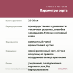 Бегония Элатиор Барсеба розовая (0,1л) — параметры сорта