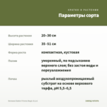 Бегония Elatior Frivola Magic (0,1л) — параметры сорта