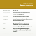 Бегония Элатиор Hailey Sunset (0,1л) — параметры сорта