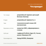 Бегония Элатиор Hailey Sunset (0,1л) — что приедет